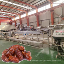 Industrial Egypt palm dates processing machine line